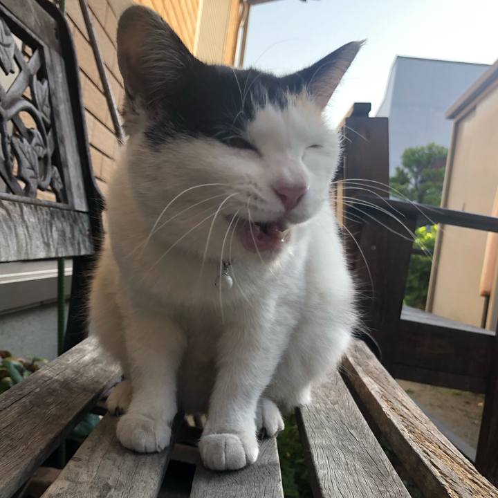 1837b416 bd4b 4837 a74e 95a0daf40164 1618783912840