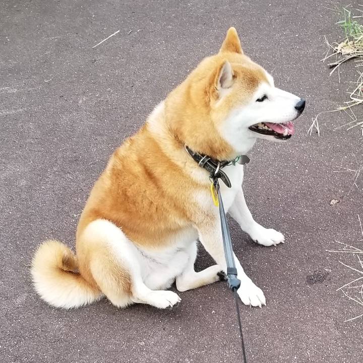 1837c28c be04 4df2 ab60 2f410781d4b4 1600332535430