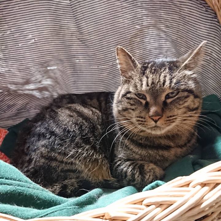 1837c7ee cb1e 4a22 a2d2 db02d2ec7079 1641123353715