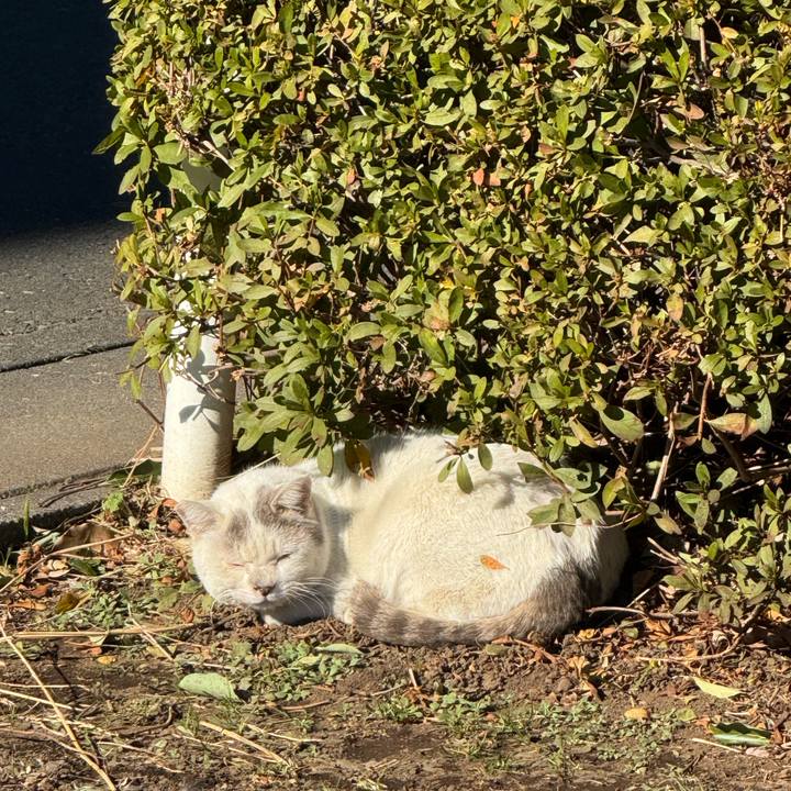 18382b87 4fc5 41c2 8142 4abe6df6be90 1769136125296