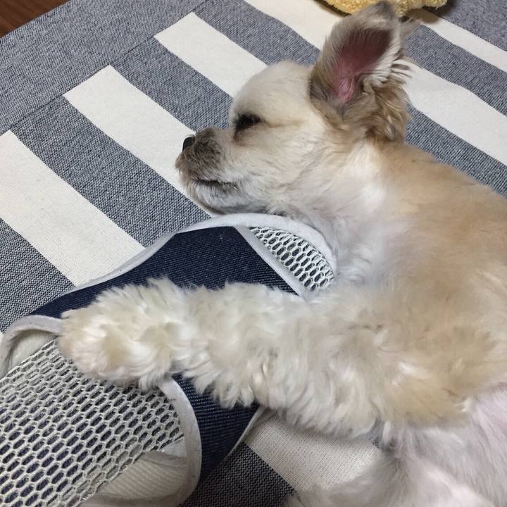 18384de1 9275 433f a6f7 6e015d236928 1562585561834