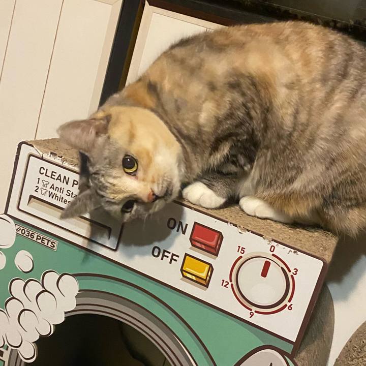 183862d0 f43d 4611 a1f9 9798cf6ccc05 1700999399255