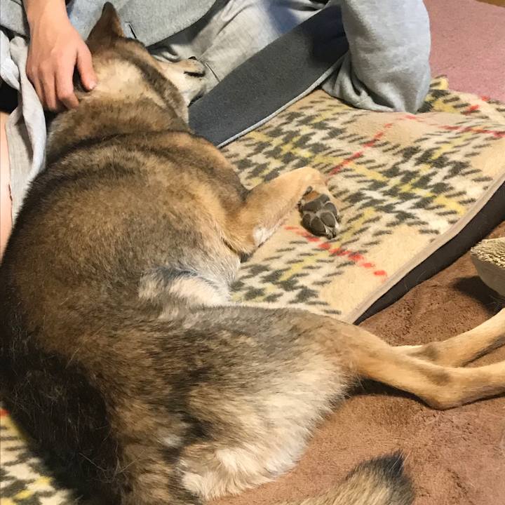 18389794 4bc8 45c1 8dd5 0e9efe76a884 1541238081735