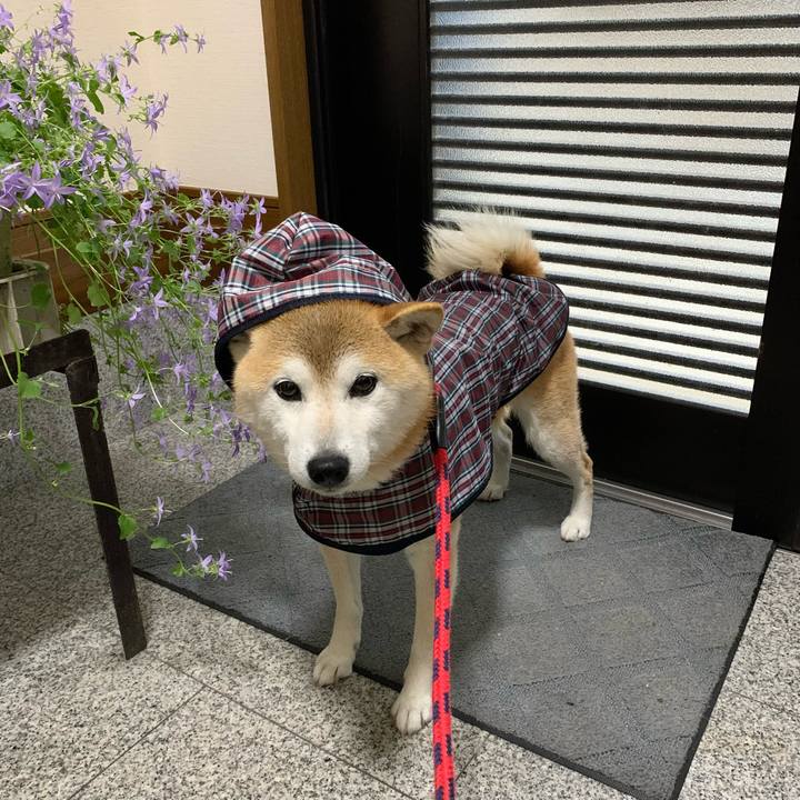 1838aeb5 2bdf 4603 9b27 620854c9cd75 1685703630823