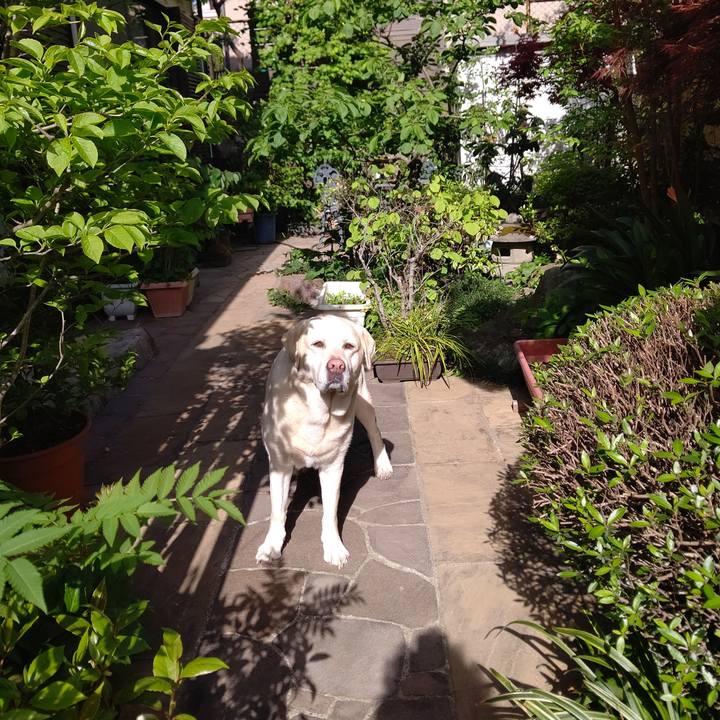 1838c045 5933 4ea5 a562 ebf6dc605ee4 1681365836416