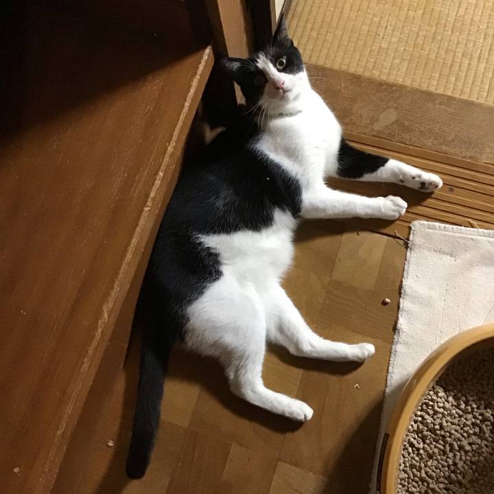 1838e29a eae9 420d 809b c912c94cb6b0 1690029042716