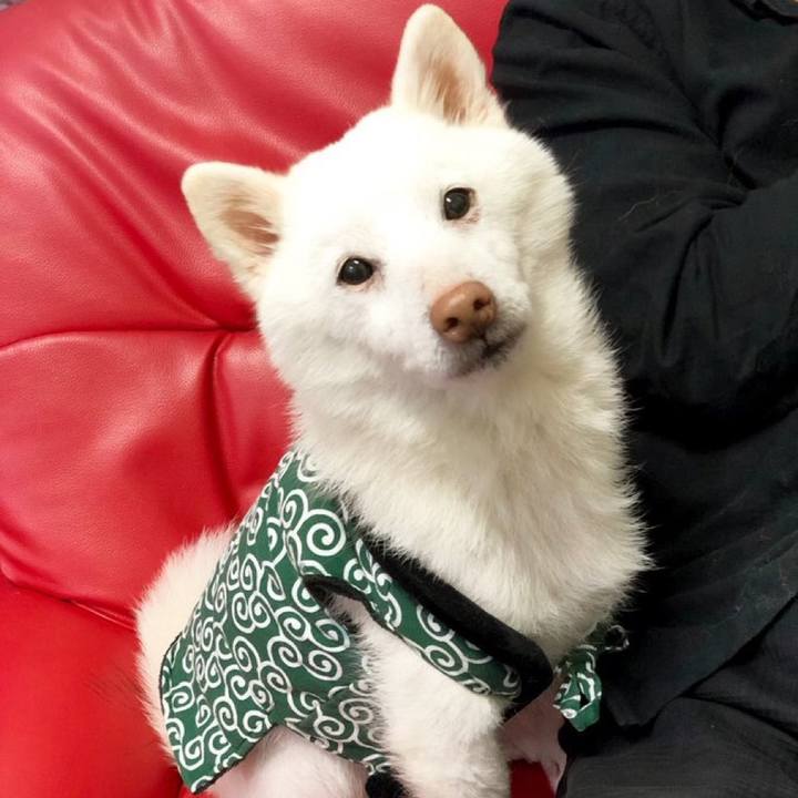 18390170 0316 4bfa 85c3 2c7faca79918 1769863419257