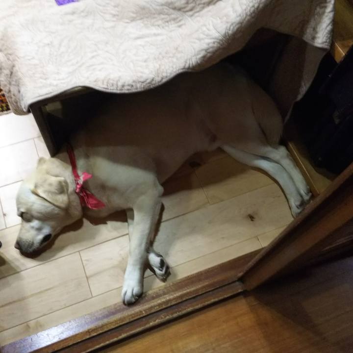 18395818 b0c0 42f0 8501 e21ef2adacc4 1551007601130