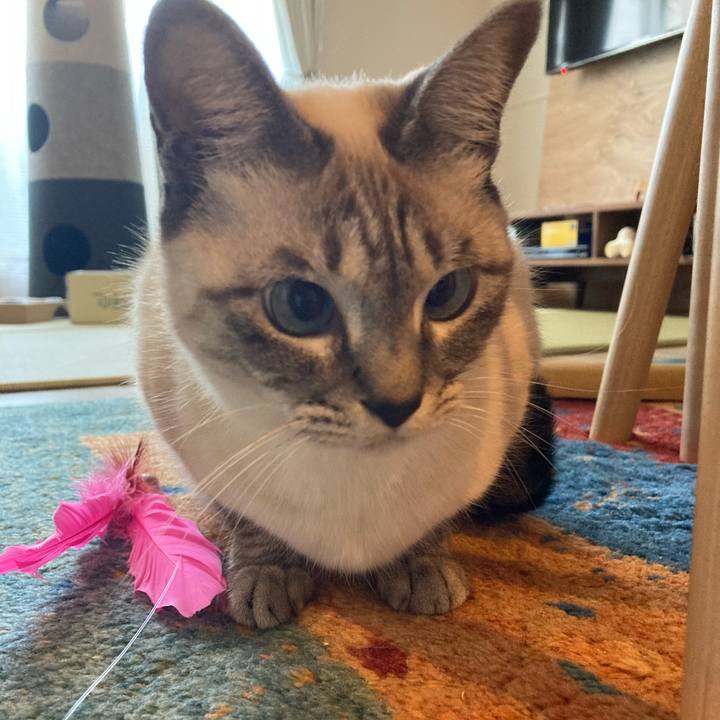 183963fe 55b7 46eb 89fa 90d9df03abea 1607303260919