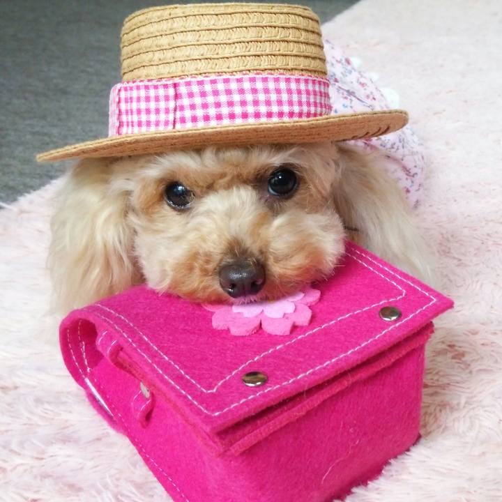 18396899 8907 4989 9594 d87978c5c5a2 1557836599657