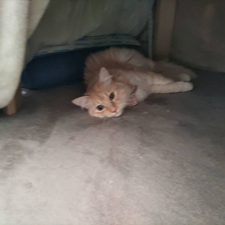 1839765a 2748 4e29 b586 0c3164128a11 1701478855856