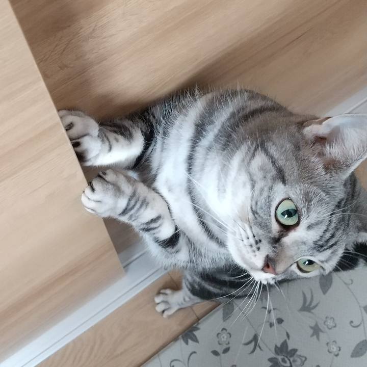 1839e063 b75f 465c be40 1673562d5bf6 1668907274756