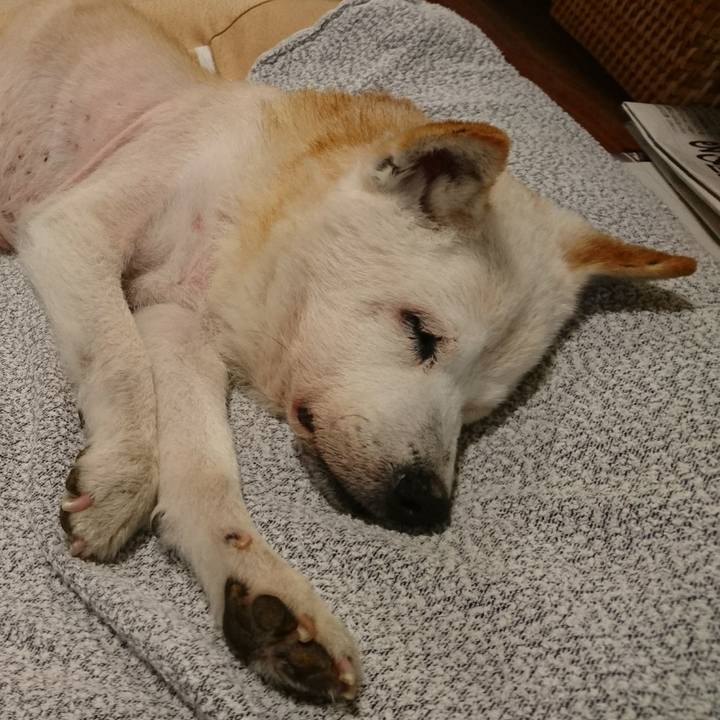 1839e601 4e55 4822 aad6 d7d5a6a7338c 1533685968343