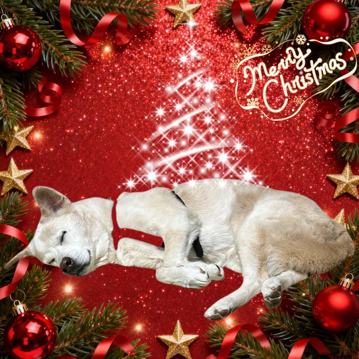 183a0154 f2a9 420d 8f02 50d3fccd2f60 1766581163655