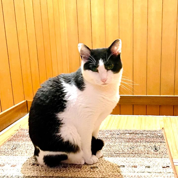 183a08fb 8d5b 4480 87b4 5427383c0360 1623379410861