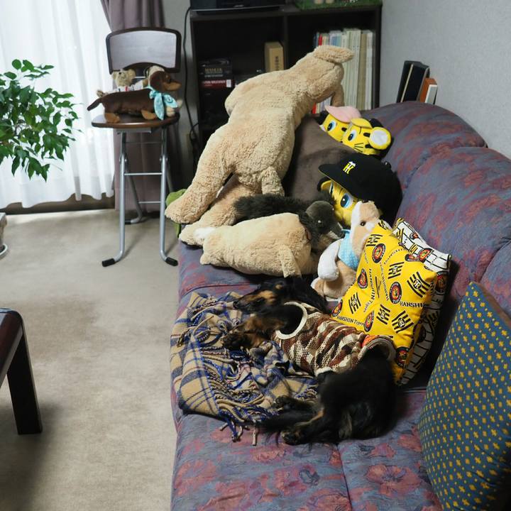 183a1a91 3359 4678 9b25 38e1d520ab82 1567817921070