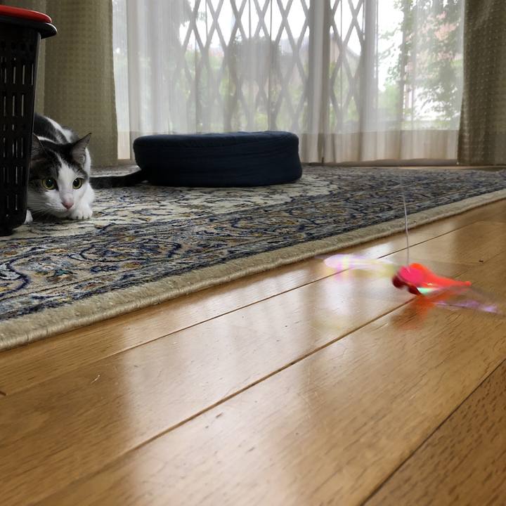 183a48cc 0c95 4298 a833 bfab9c115aab 1631608032200