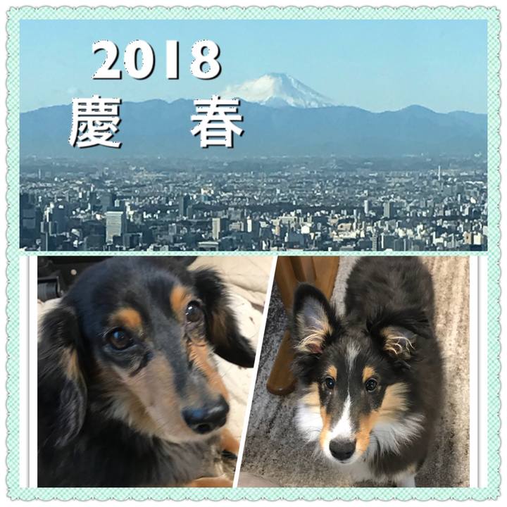 183a6da3 1df2 4236 a0ff 6ff87da198b9 1514755467125