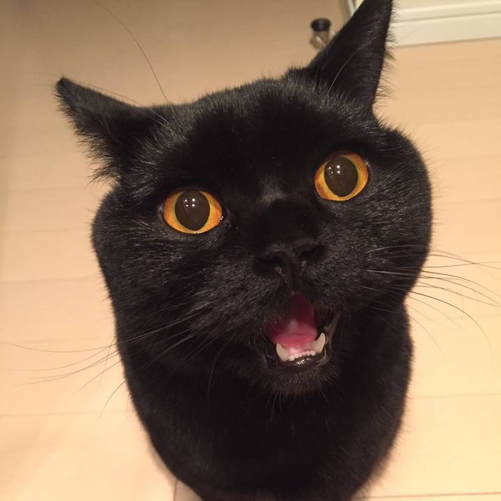 183a6f18 4db4 4084 ae2b 53239e2234c4 1517918640017