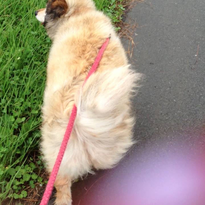 183a818a 9f53 4197 add2 1783a5ec88f3 1603594613387