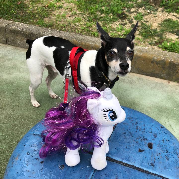 183a84f1 964f 4d7b 8af3 e0c7cd70ff6b 1540004929292