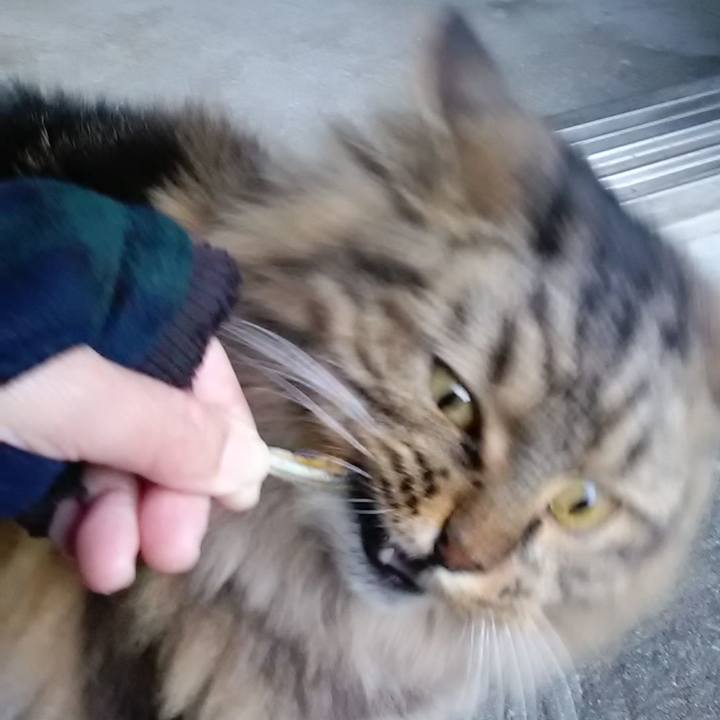 183ac42c d9de 424f b650 a8ef77e71e17 1608868818196