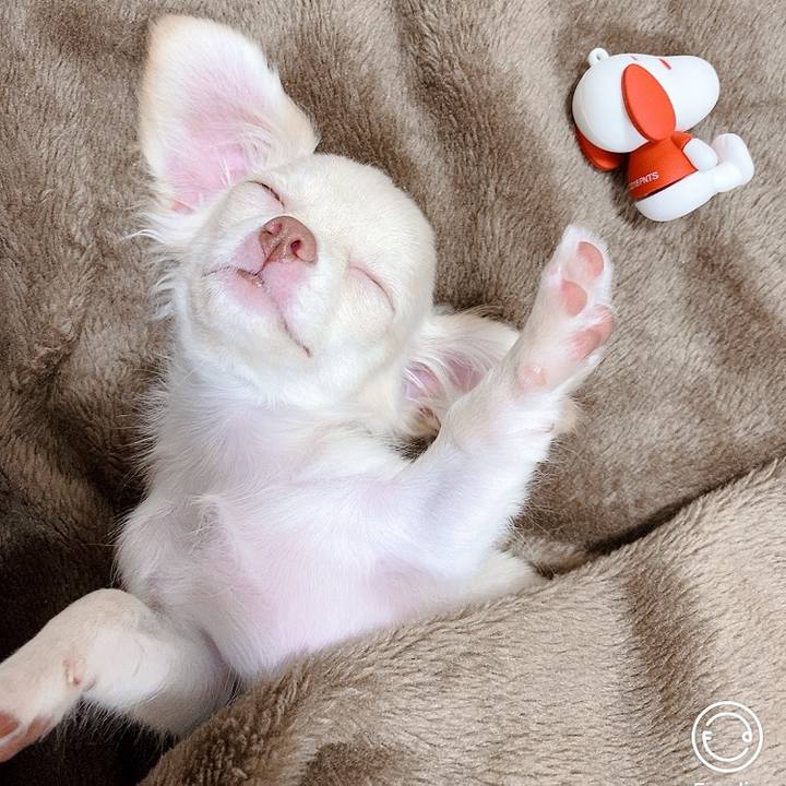 183b0086 20d7 4fa5 bc50 a1d9a964bd1b 1591007766309