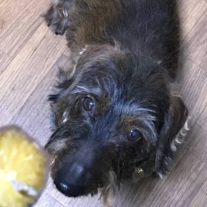 183b4028 e7cf 43a6 b5ec 09ebf41c1cd2 1522893938495