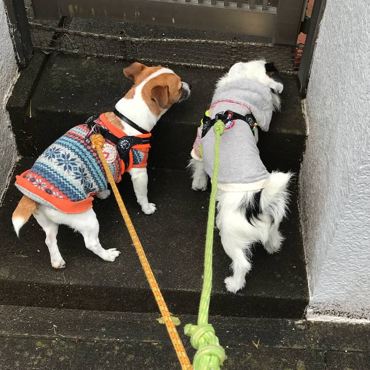 183b4062 a7a8 4439 a661 50caec626fe5 1515459707176