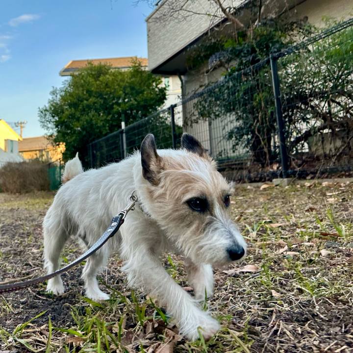 183c054c 1e62 46af a8b1 84be848ab8ff 1737977010505