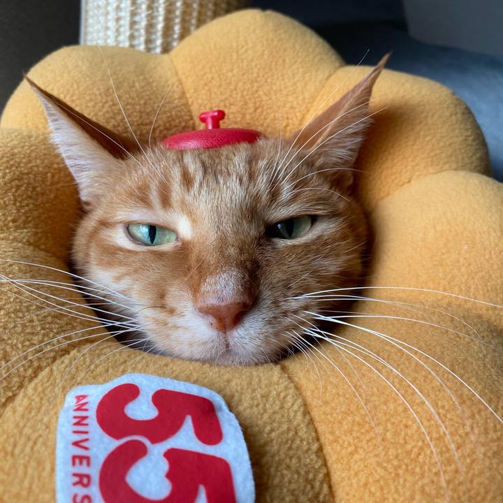 183c3a66 be2c 4fca a6d6 7d791f4feca1 1766799669686