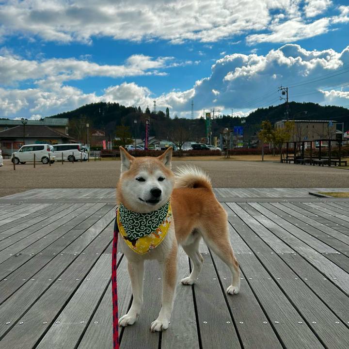 183c5082 5821 47bd a822 7b575c67ec8a 1772106060541