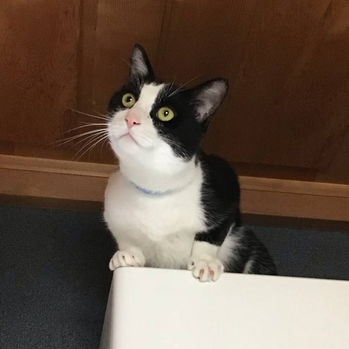 183c5299 40ef 41d4 9465 09f1b73762f7 1719649265129