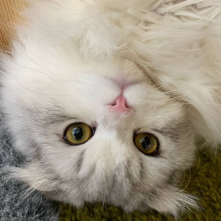 183c5519 3d71 43db b114 dae06f1bf784 1610148829662