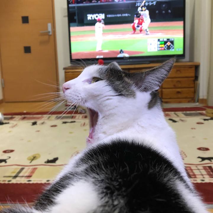 183c85fc 8c78 4c12 a357 6a8fab17c1a7 1714563319051