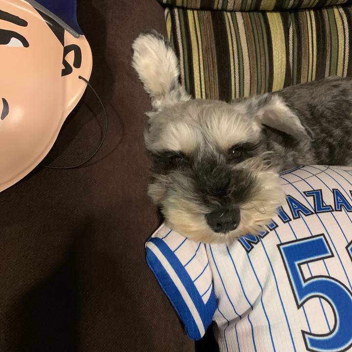 183cae2d 0c70 4515 900b fb9c9ebbf3db 1599453731858