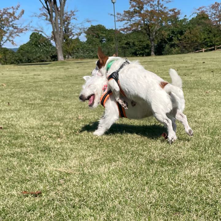 183cafaf 39bc 402a b802 c144039562d2 1761270469262