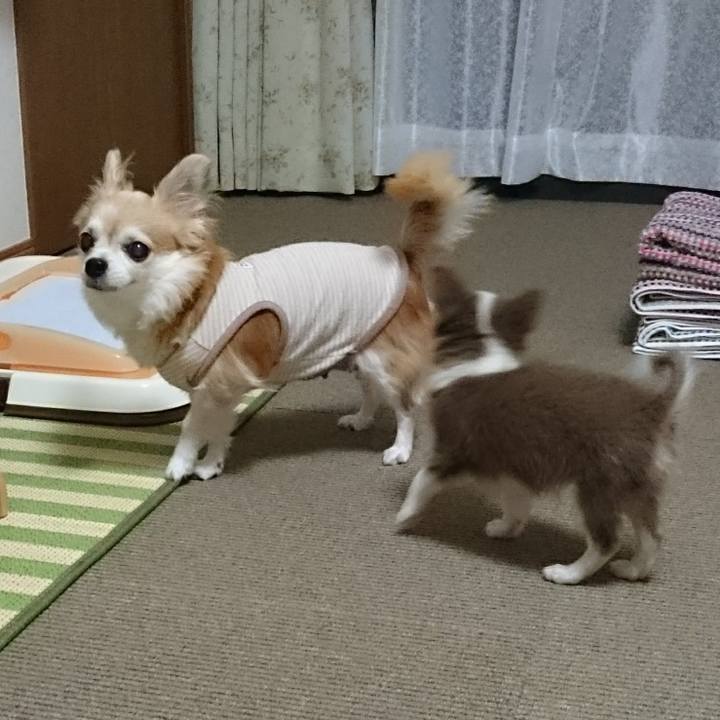 183cdb14 6a67 4311 9bd3 dc1018545342 1578563882068