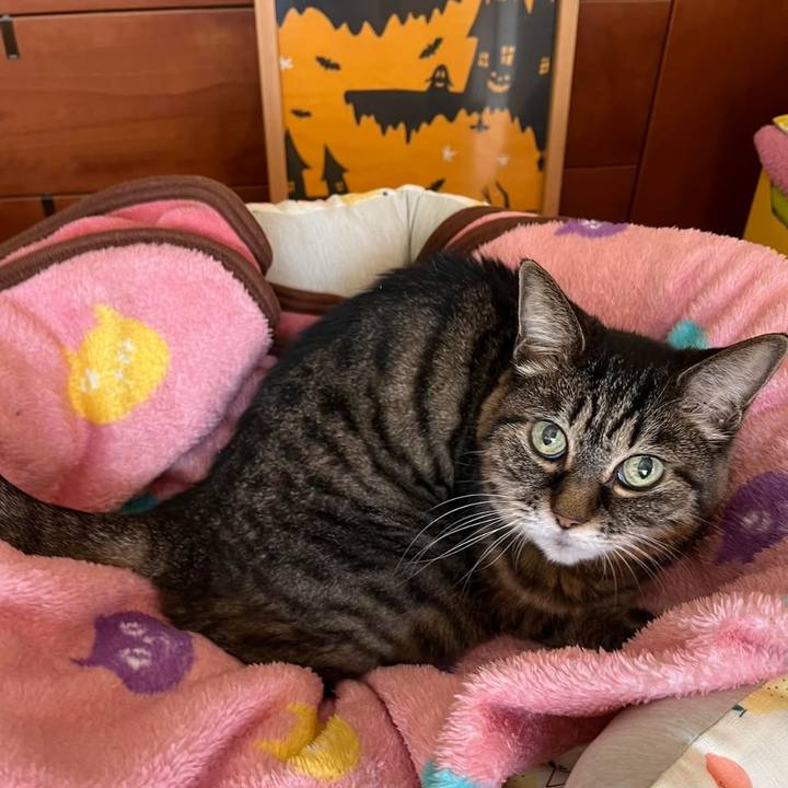 183ce11b d763 48f6 ba6d 26af27fcdf5c 1761041064770