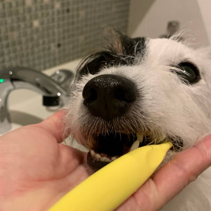 183d0eb1 720c 4448 83e1 847a234c3b1a 1684590212203