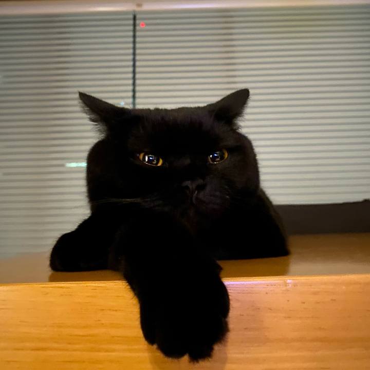 183d720b f72f 4b03 97dc c267208d2e6b 1633684146640