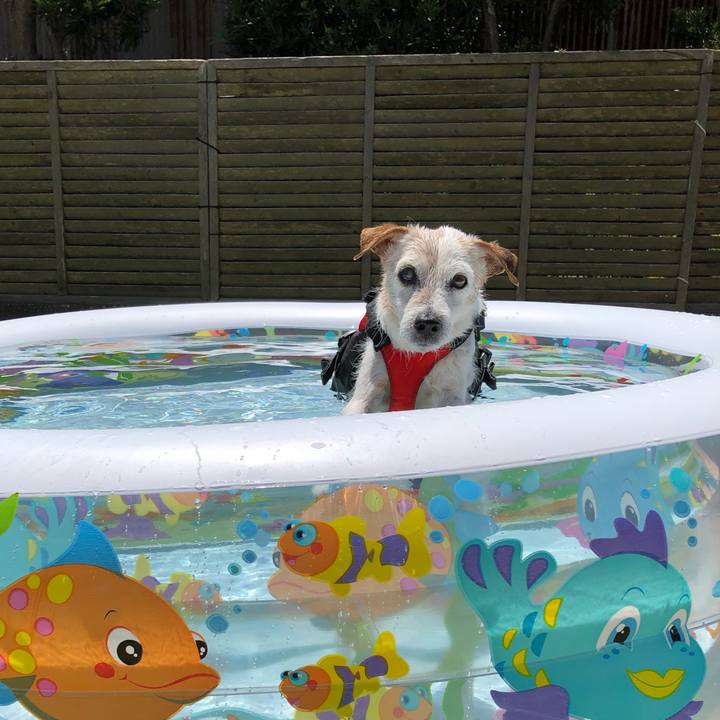 183d7a9e d250 46d8 a56e 1c4b623a780d 1627794393742