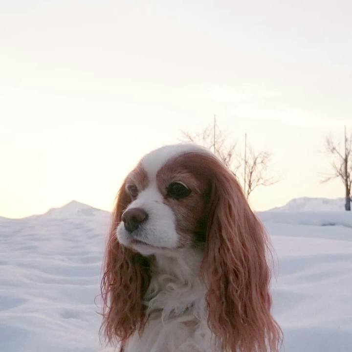 183d7d94 967b 454e a0e5 6f8a675d4d0a 1551045895845