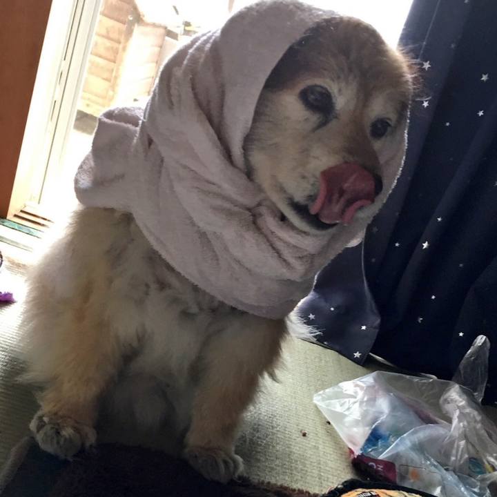 183db102 b816 42d7 8d56 c3761b102483 1601616566440