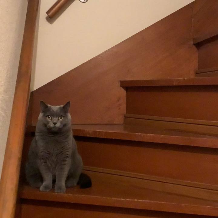 183de976 f05a 4f77 93bf 961d56ff75e6 1771158321683