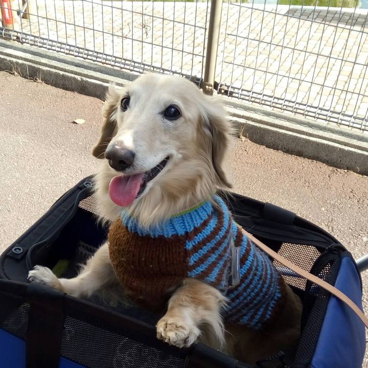 183e657a 50e5 4199 a667 7af412d246c4 1547443482718