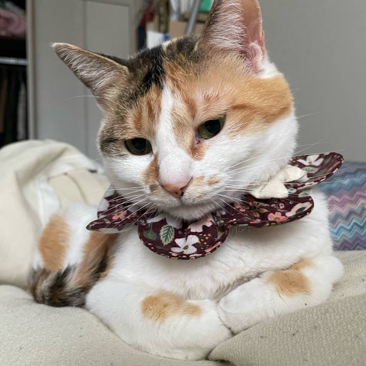 183e6ab5 5fa7 4776 b607 6468967e9056 1748909570450