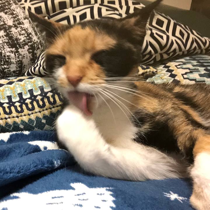 183e7003 1916 4fac b414 bdf0340c48f1 1558615758012