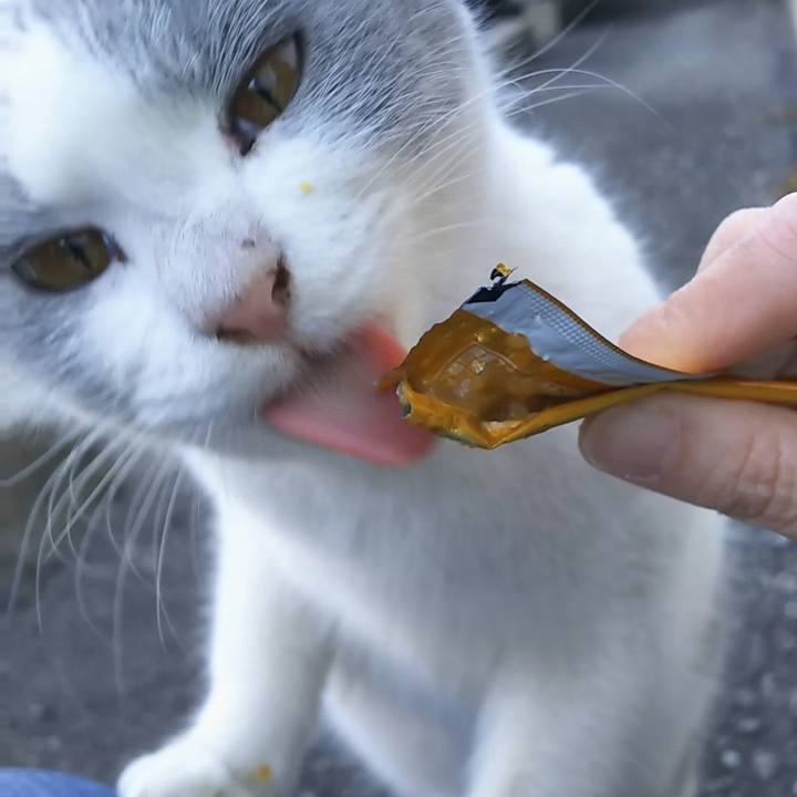 183ec652 962a 47ef a518 8897d448f404 1515305301032