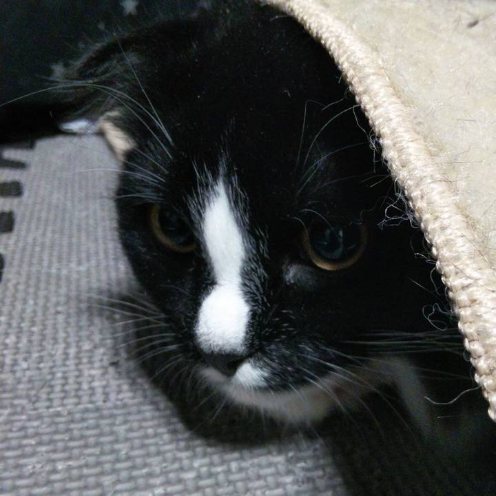 183ec8b2 7058 4f83 8c6d 4f1413e7d193 1646649371640